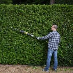 Taille-haie sur perche sur batterie ryobi one+ 18v, l.45 cm, sans batterie