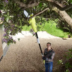 Combi élagueuse et taille-haies sur perche électrique ryobi rp750450, 750 w